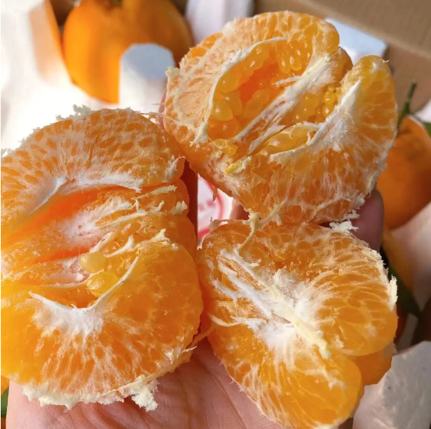 耙耙柑，不知火，春见丑柑供应10斤装